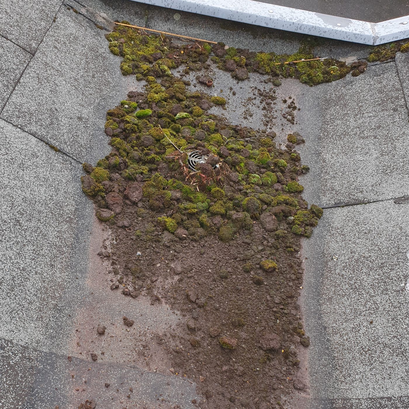 Reinigung Flachdach und Gully